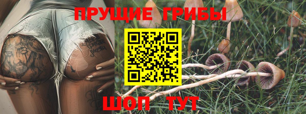 Галлюциногенные грибы Magic Shrooms  Вход с VPN  Выборг  Галлюциногенные грибы Magic Shrooms 